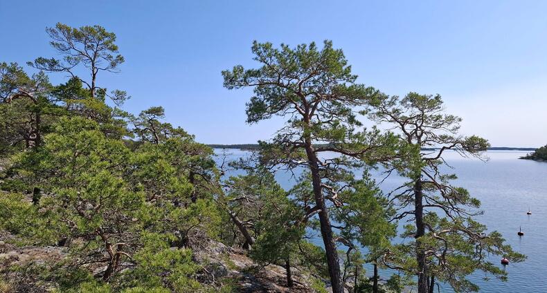 Saaristo Naantali
